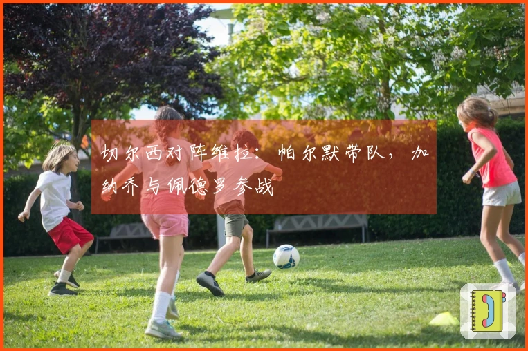 切尔西对阵维拉：帕尔默带队，加纳乔与佩德罗参战