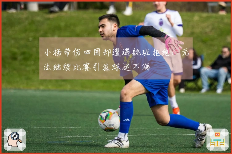 小杨带伤回国却遭遇航班拒绝，无法继续比赛引发球迷不满